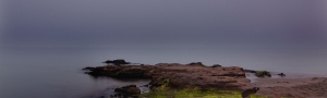 Quino Al Banner