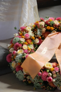 23 Img 5813