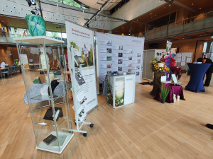 Seniorentag 2023 in Starnberg