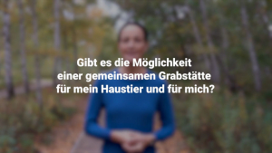 16 Thema Mensch Und Tierbestattungen Ii Cc Web