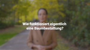 21 Thema Baumbestattung Cc Web