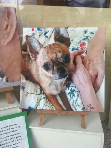 Gauting Hospizbegleitung 2025 (10)