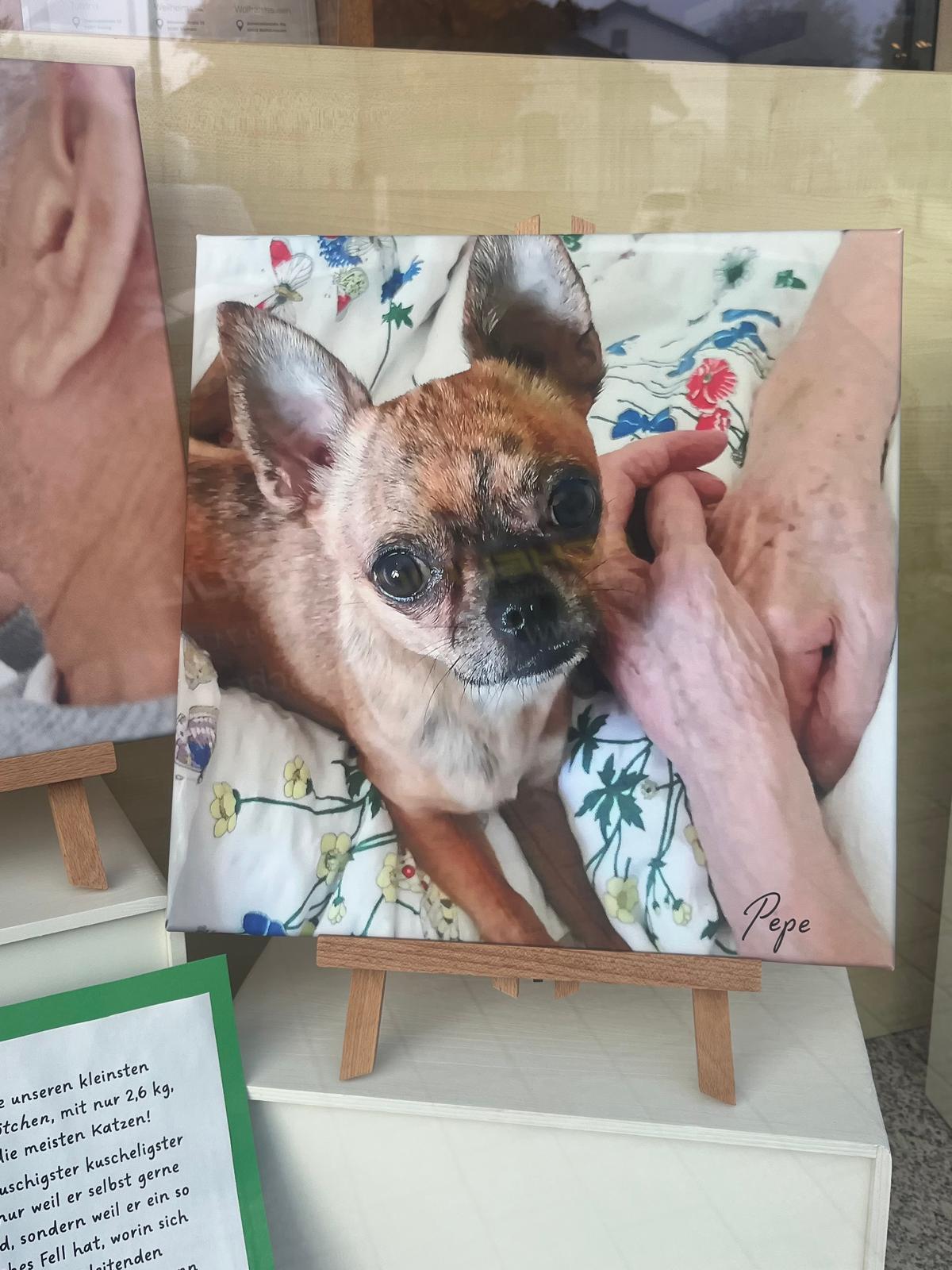 Gauting Hospizbegleitung 2025 (10)