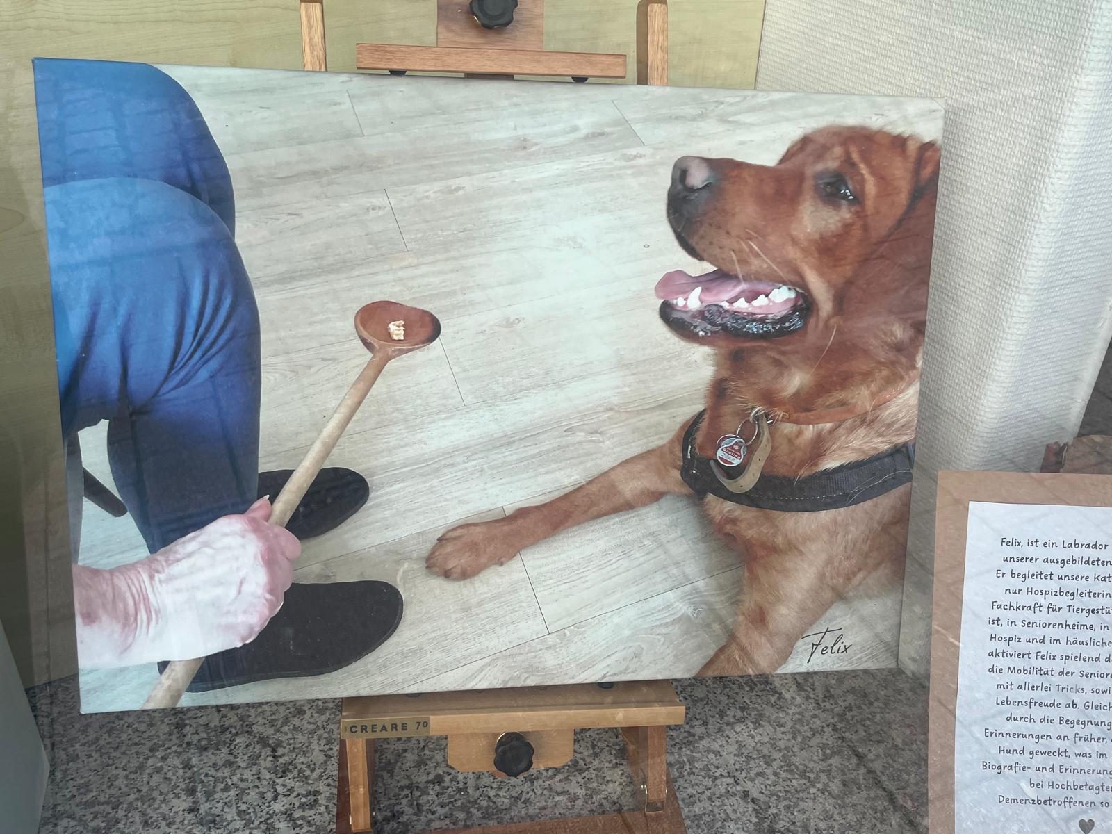 Gauting Hospizbegleitung 2025 (4)