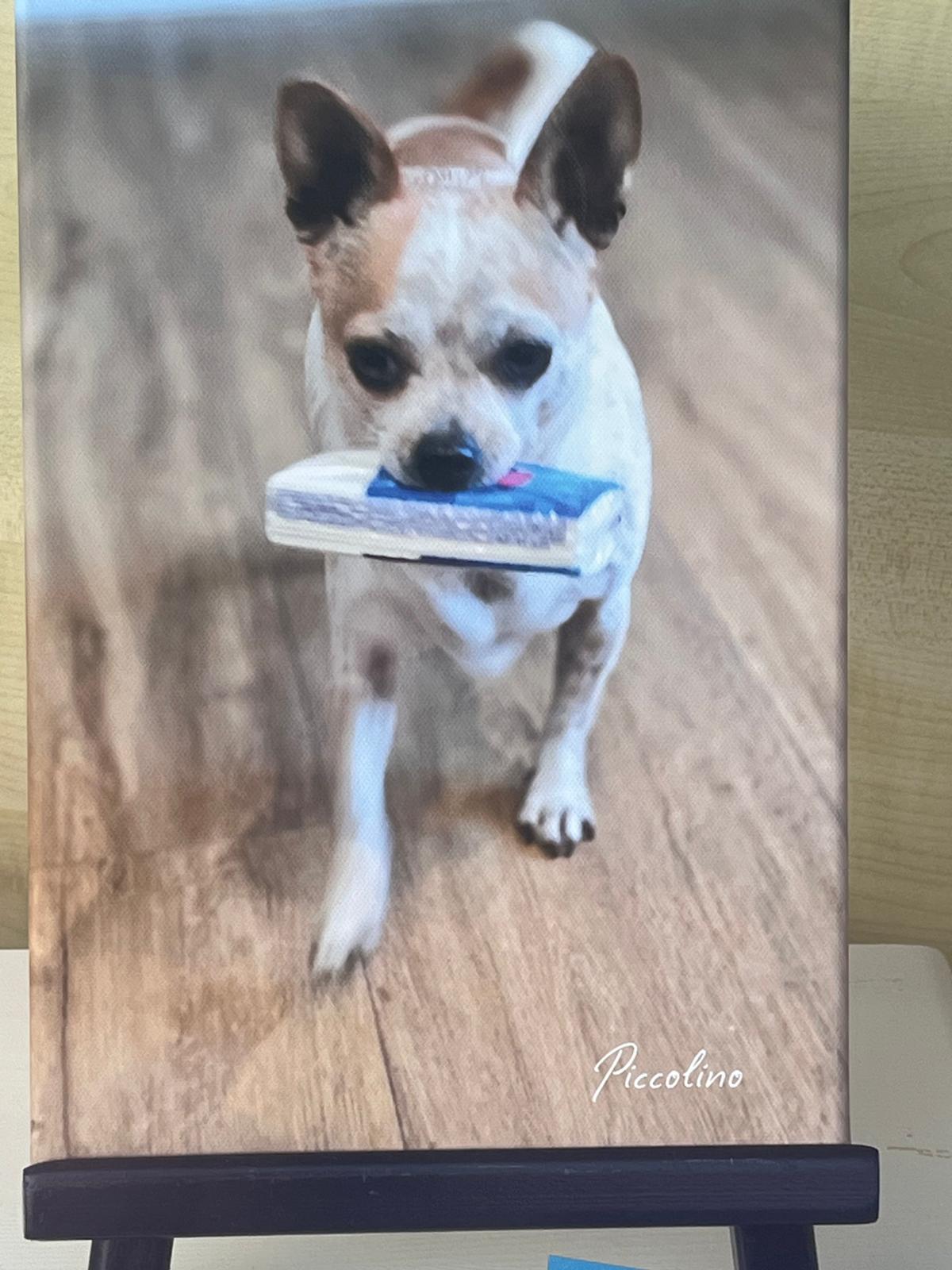 Gauting Hospizbegleitung 2025 (5)